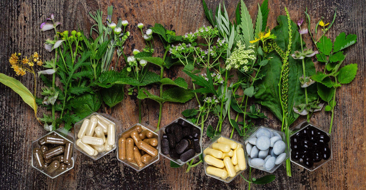 Supplements for Energy and Vitality: Natural Ways to Beat Fatigue