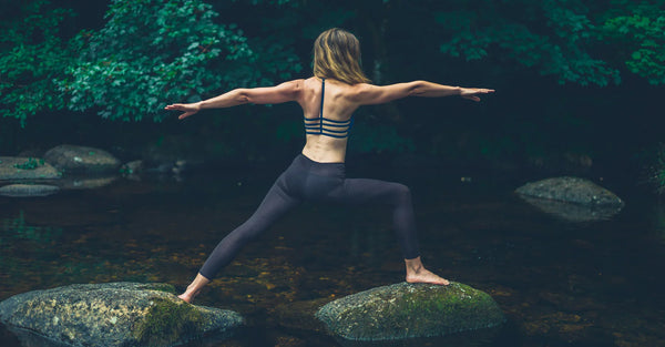 What Else Can Immune Supplements Help With?