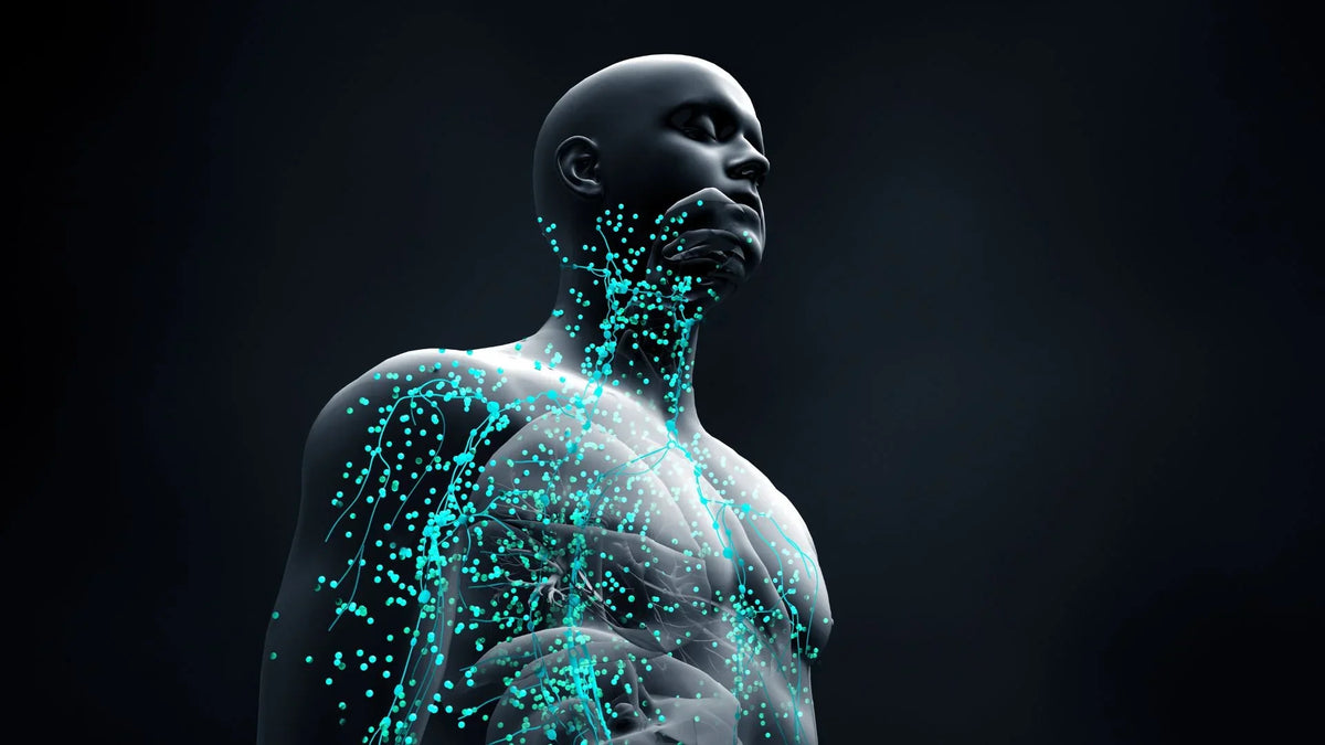 The Importance of a Strong Immune System
