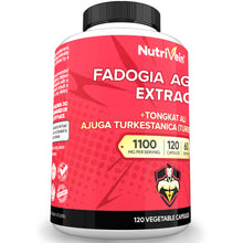 Nutrivein Premium Fadogia Agrestis and Tongkat Ali Supplement with Turkesterone - 1100 mg - 120 Caps - Synergistic Blend for Performance, Strength, & Recovery for Men & Women of All Ages